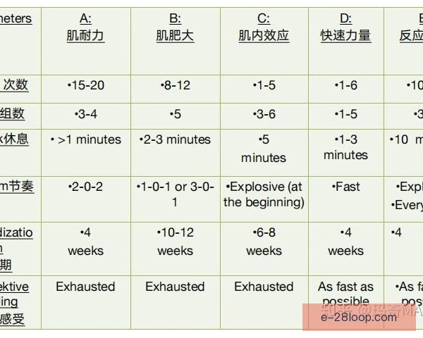 二十四小时跑重视踝关节刚性，耐力表现获得提升